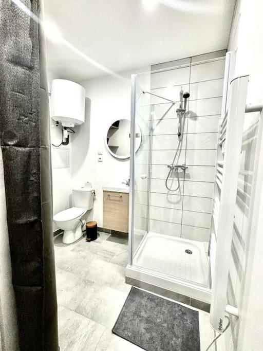 #Le Bicentenaire Apartment Saint-Etienne  Ngoại thất bức ảnh