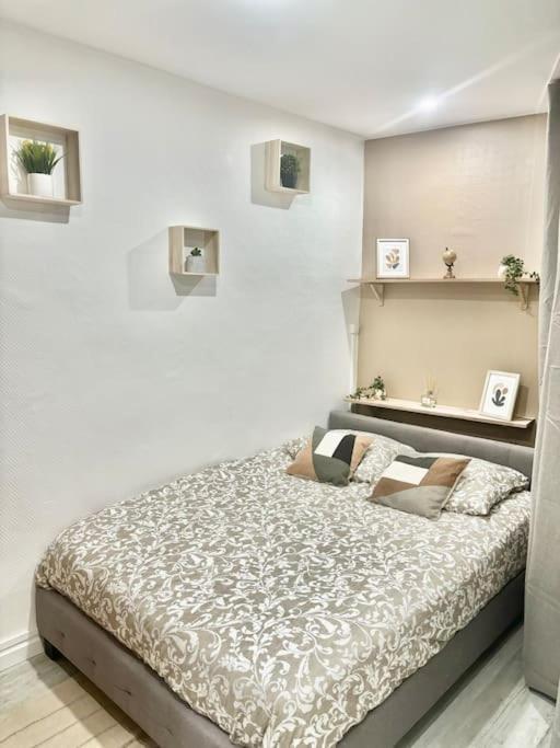 #Le Bicentenaire Apartment Saint-Etienne  Ngoại thất bức ảnh