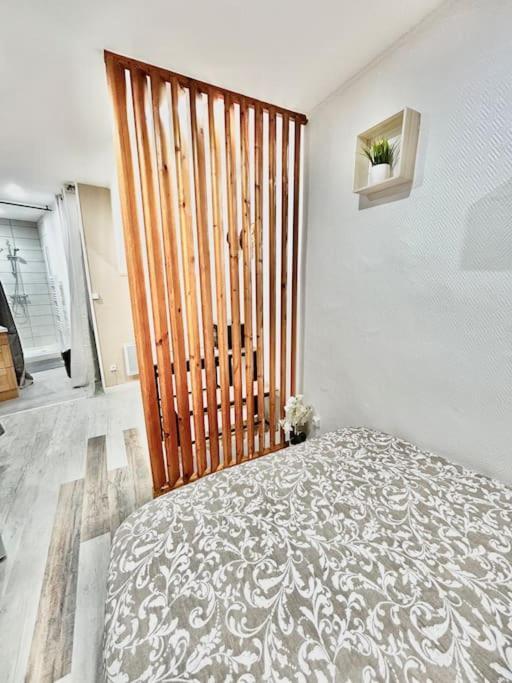 #Le Bicentenaire Apartment Saint-Etienne  Ngoại thất bức ảnh
